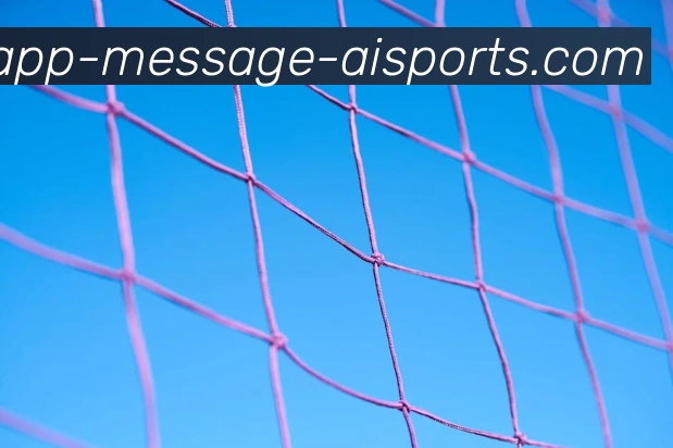 爱体育APP服务体系